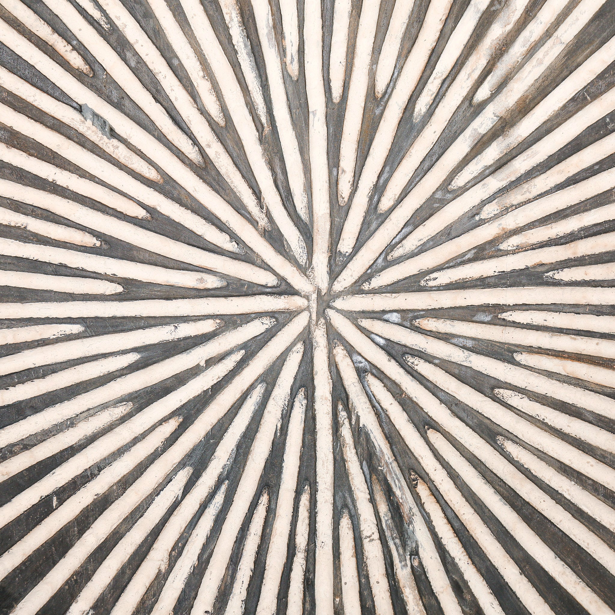 Dancing Shield, Cameroon | Giant | Rare | SKU: D1050