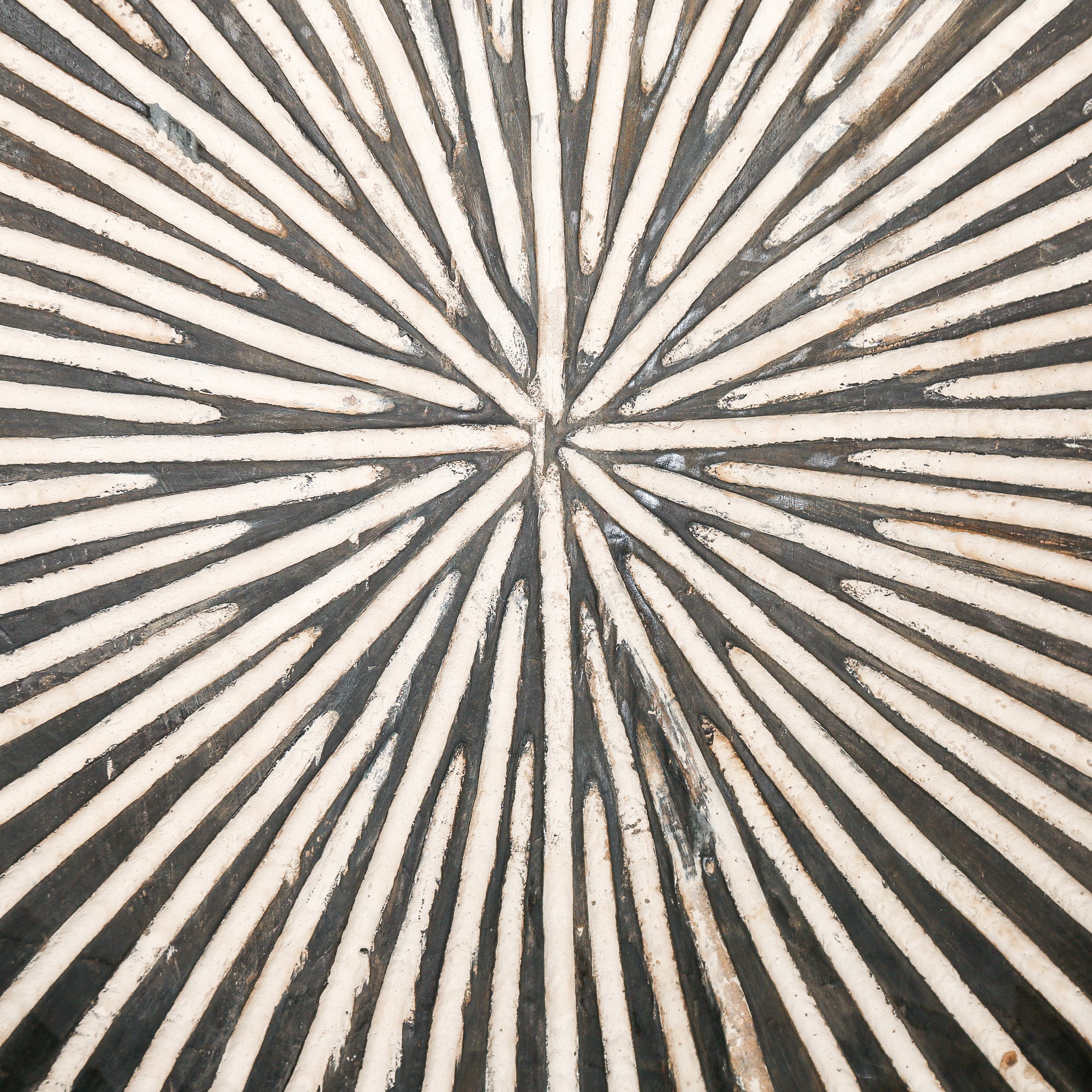Dancing Shield, Cameroon | Giant | Rare | SKU: D1050