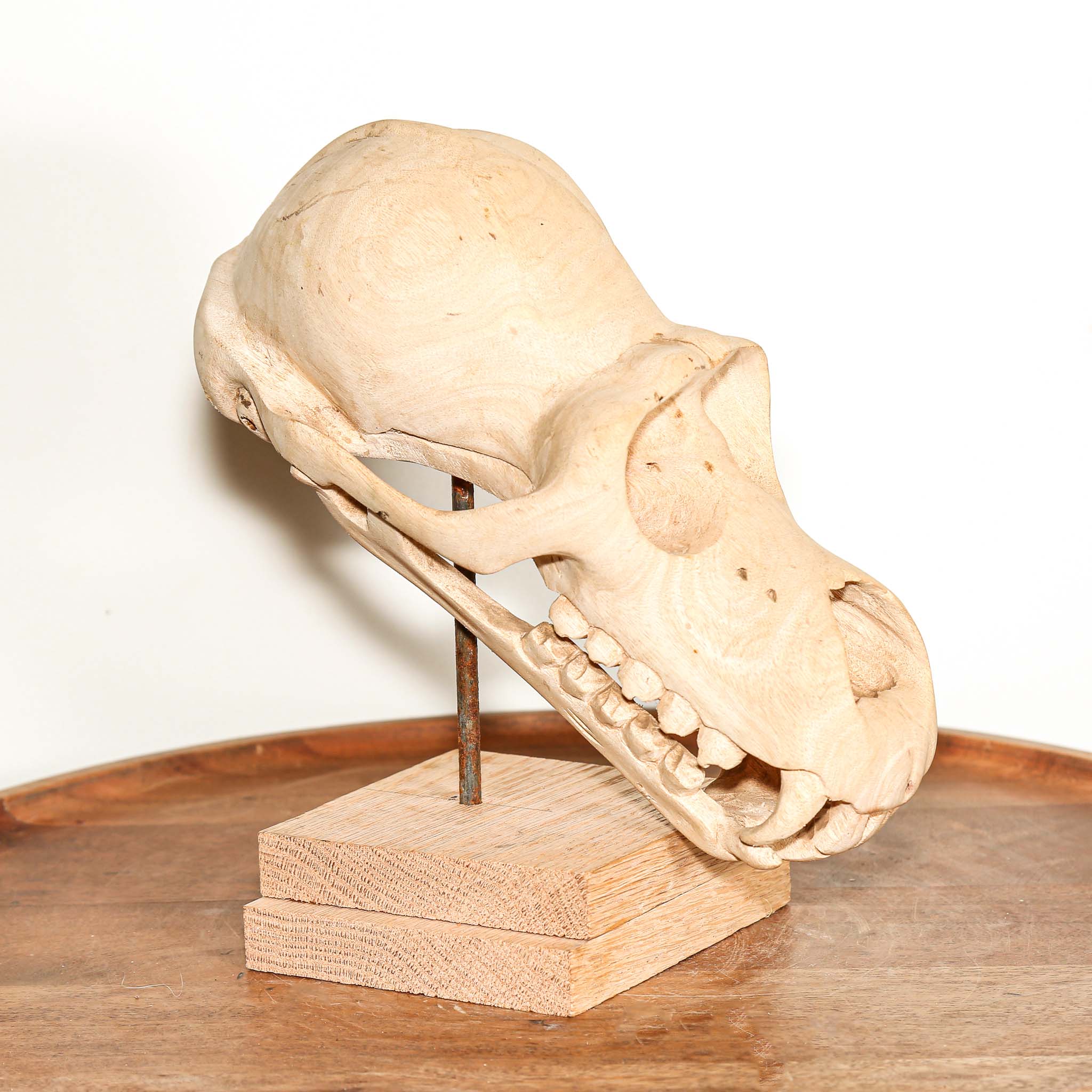 hand carved wooden skull of a primate with teeth sculpture on a pedestal for sale