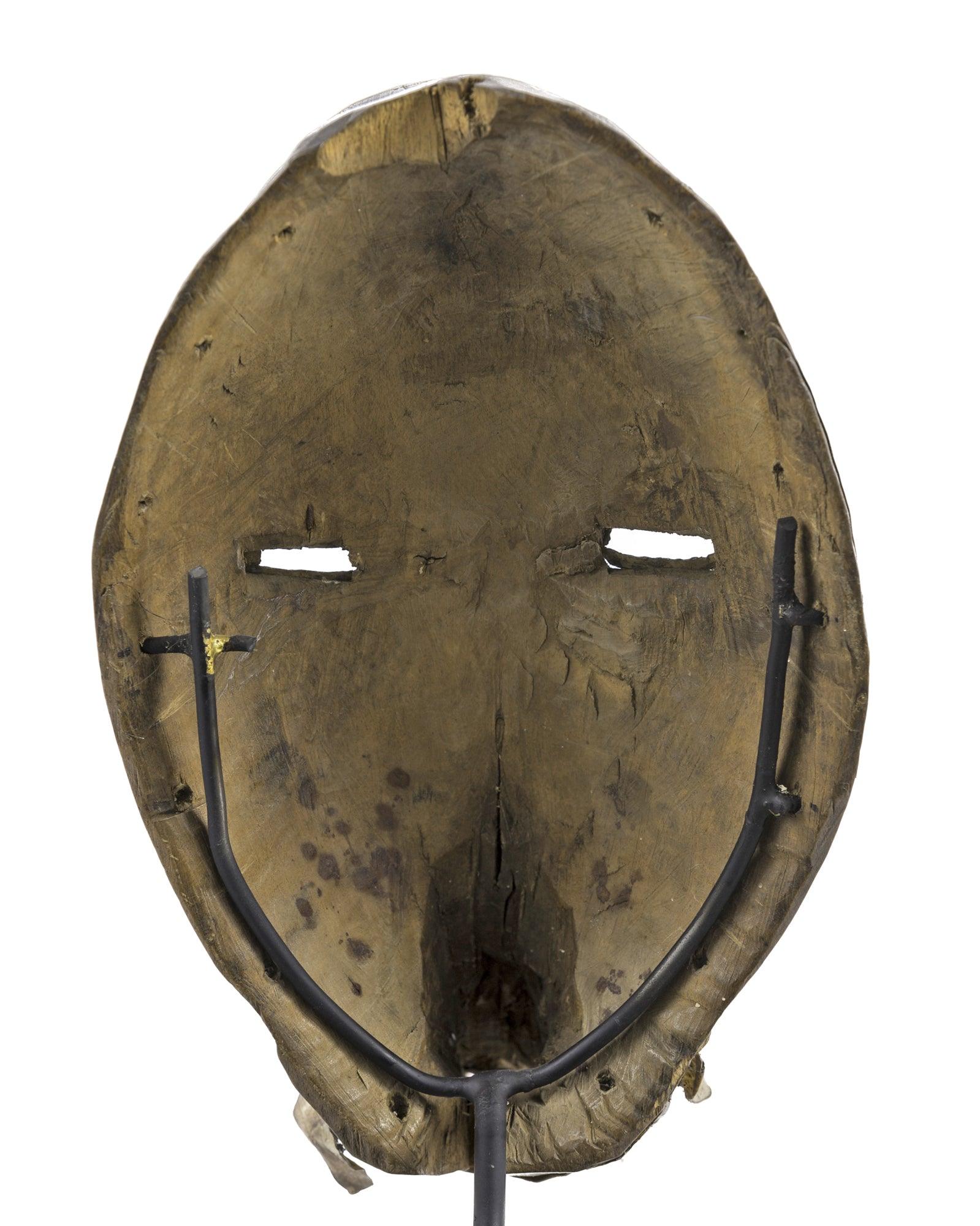 Dan bird mask