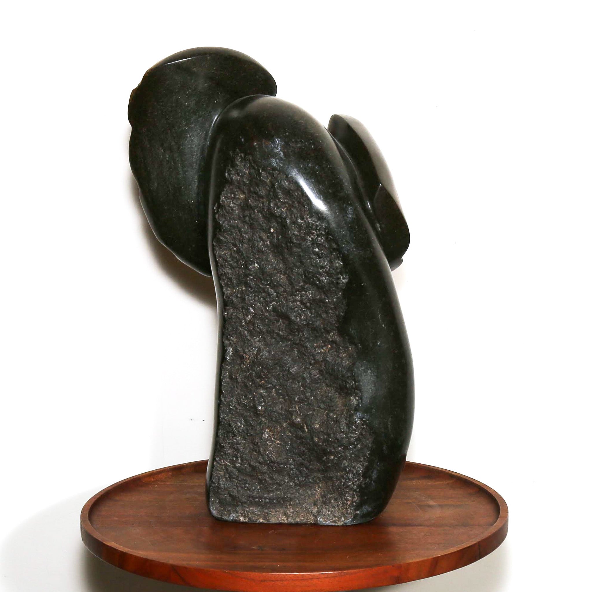 Elephant in black rock art