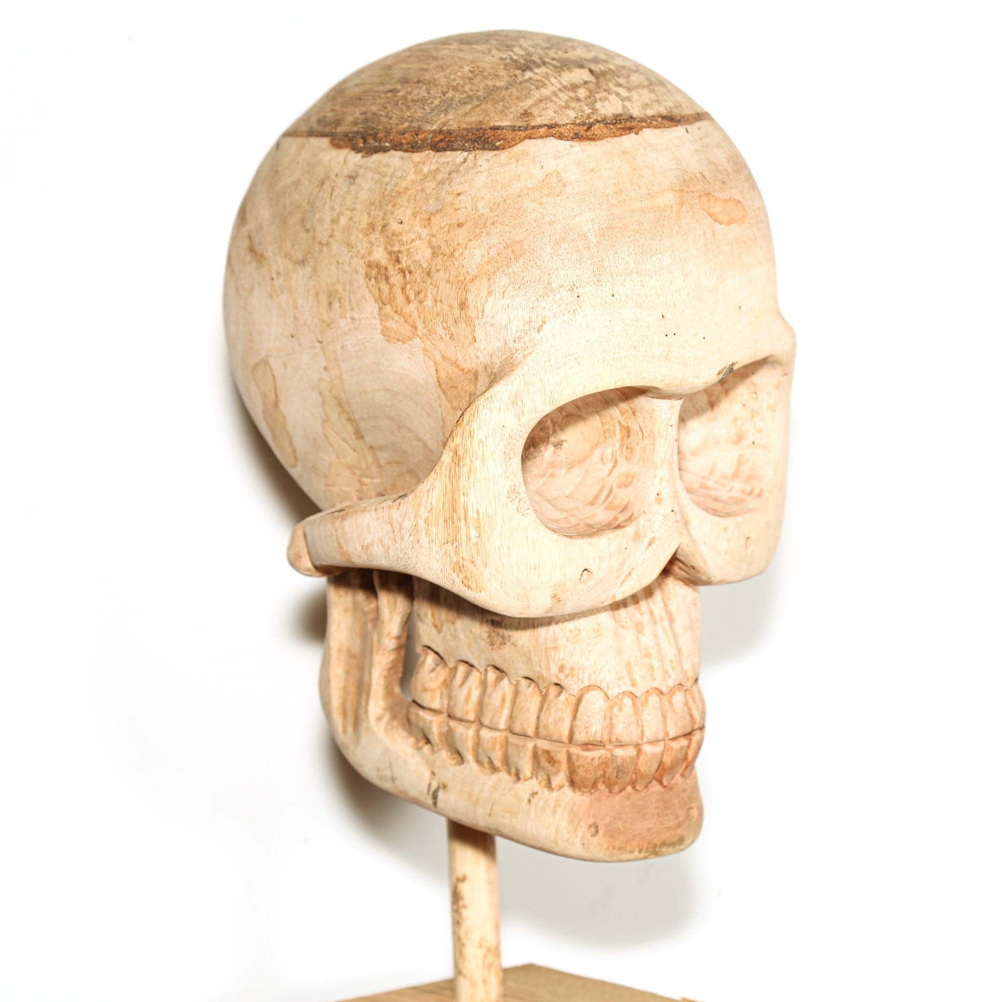 Wooden Skull sculpture on a stand with a white background made in Africa