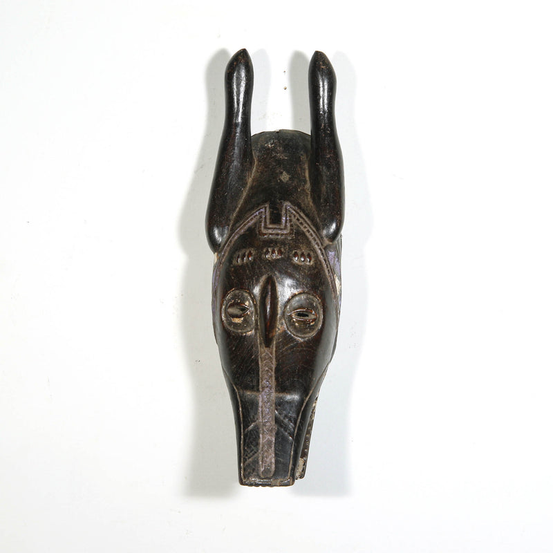 Animal wood mask from Africa
