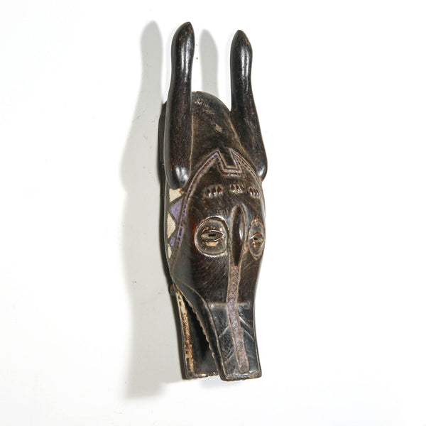 Animal wood mask from Africa